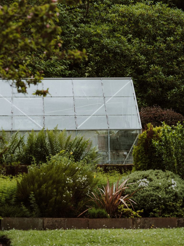 grüne Bäume in der Nähe von weißen Gebäuden während des Tages