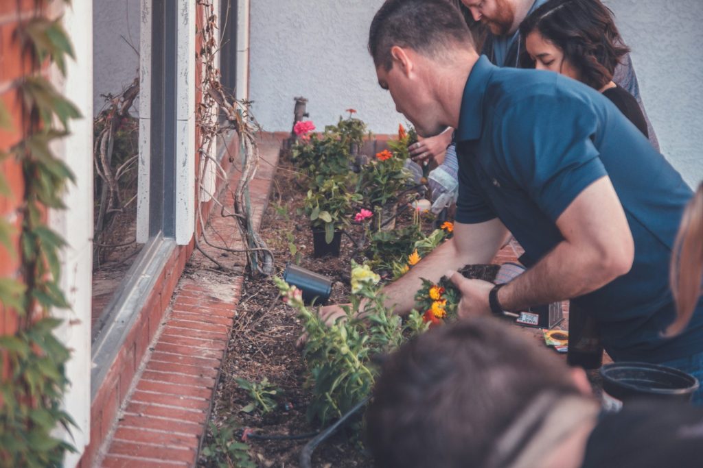 shallow focus photo of people looking at plants during daytime
